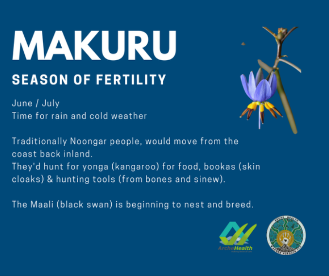 Makuru Season Noongar Calendar june 2022 v3